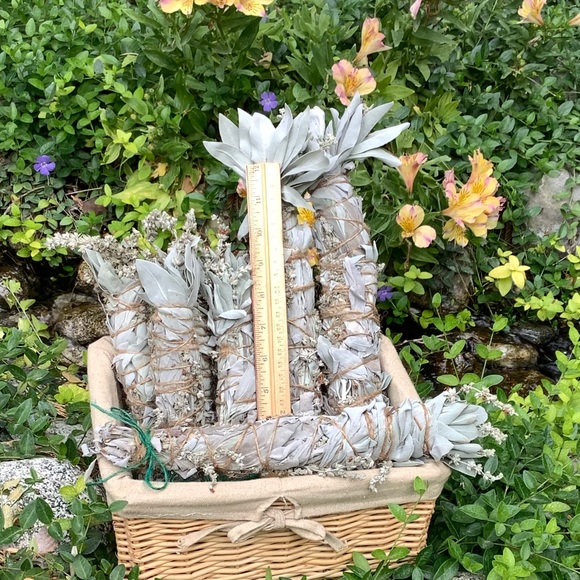 White Sage 1 Stick 10” Organic Home Decor - Picture 3 of 15